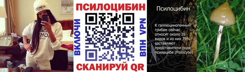 Галлюциногенные грибы прущие грибы  сколько стоит  Жуковка 