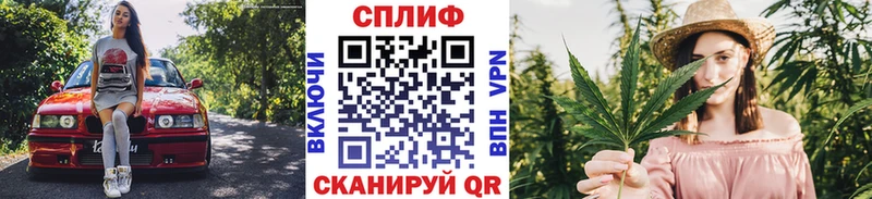 Конопля SATIVA & INDICA  как найти   Жуковка 